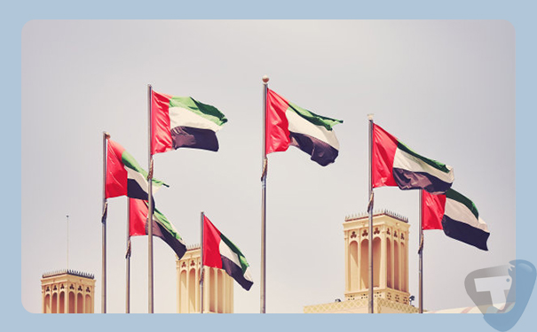 深圳到阿联酋(unitedArabemirates)港口<a href='https://www.taijiewuliu.com/haiyun/' target='_blank'><u>海运</u></a>需要多长时间?国际货运价格实惠